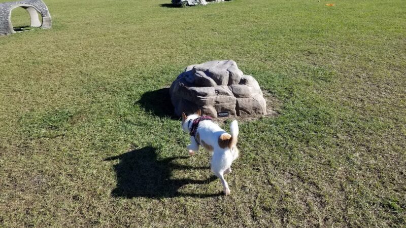 Smyrna Dunes Park - New Smyrna Beach, FL