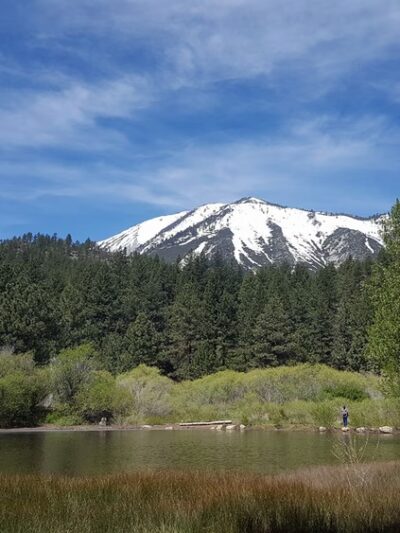 Davis Creek Regional Park - New Washoe City, NV