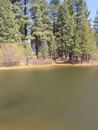 Davis Creek Regional Park - New Washoe City, NV