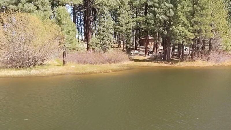 Davis Creek Regional Park - New Washoe City, NV