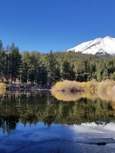 Davis Creek Regional Park - New Washoe City, NV