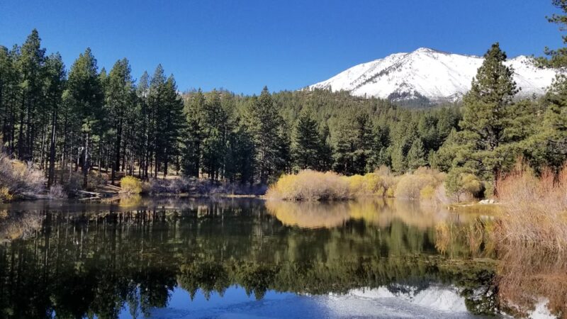 Davis Creek Regional Park - New Washoe City, NV
