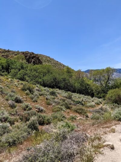 Deadman's Creek Trail - New Washoe City, NV