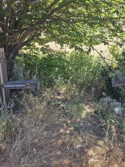 Deadman's Creek Trail - New Washoe City, NV