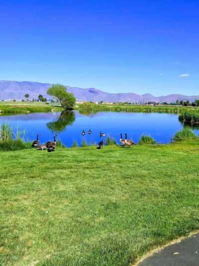 Wilson Commons Park - New Washoe City, NV