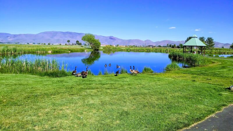 Wilson Commons Park - New Washoe City, NV