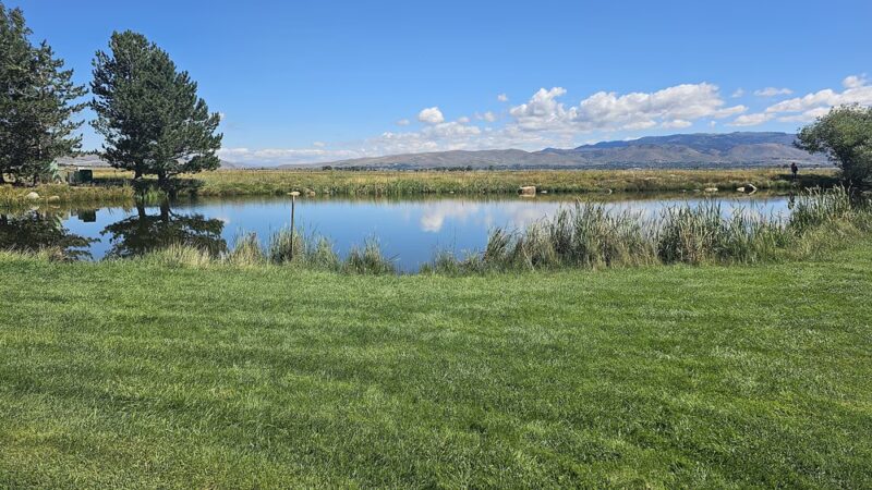 Wilson Commons Park - New Washoe City, NV