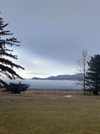 Wilson Commons Park - New Washoe City, NV