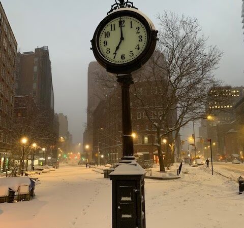 Bogardus Plaza - New York, NY