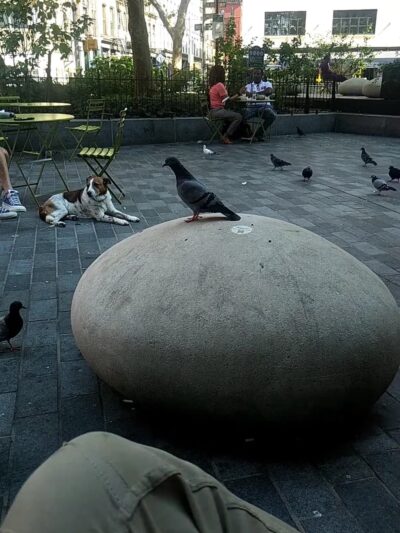 Bogardus Plaza - New York, NY