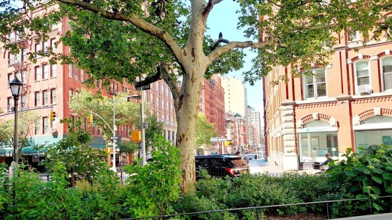 Bogardus Plaza - New York, NY