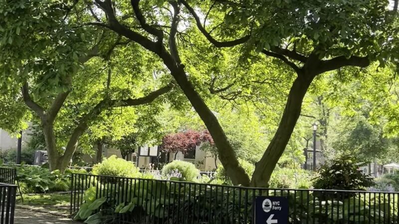 Corlears Hook Park - New York, NY