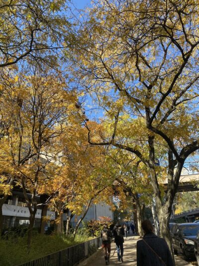 Drumgoole Plaza - New York, NY