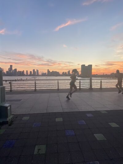 Hudson River Park Lookout - New York, NY