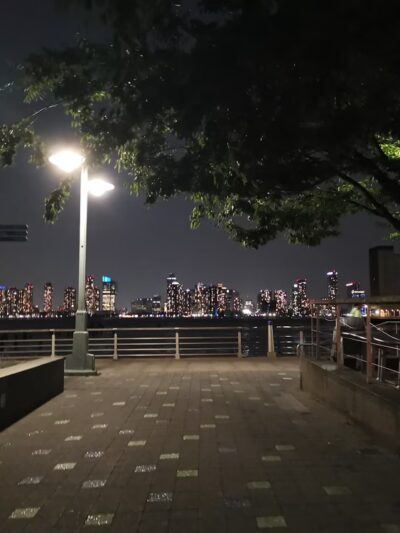 Hudson River Park Lookout - New York, NY