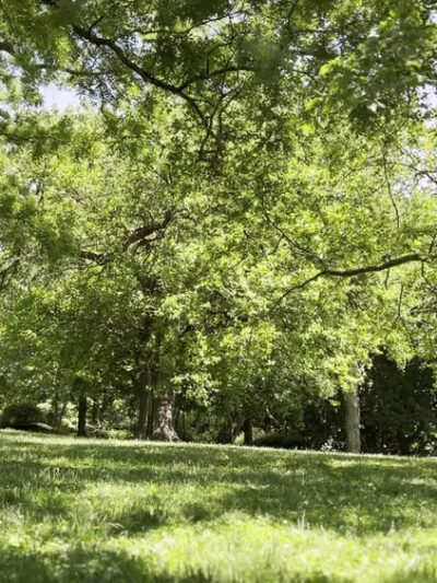 Isham Park - New York, NY