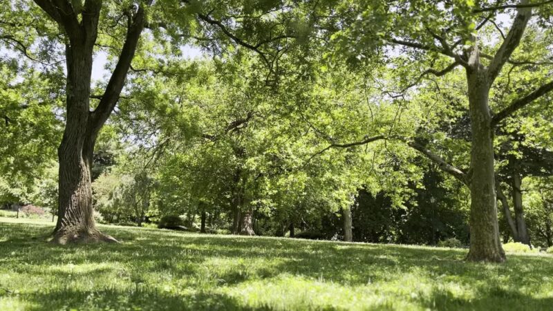 Isham Park - New York, NY