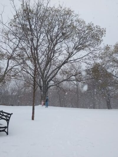 Isham Park - New York, NY