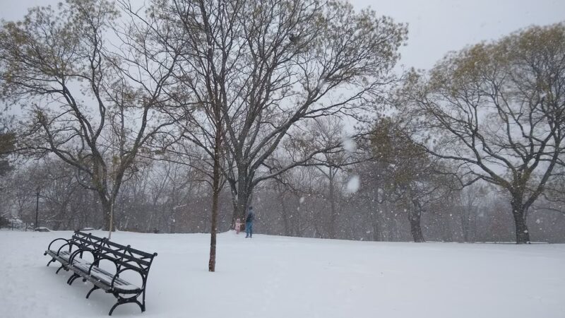 Isham Park - New York, NY