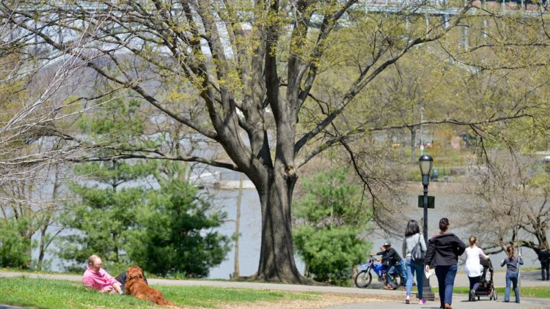 Inwood Hill Park - New York, NY