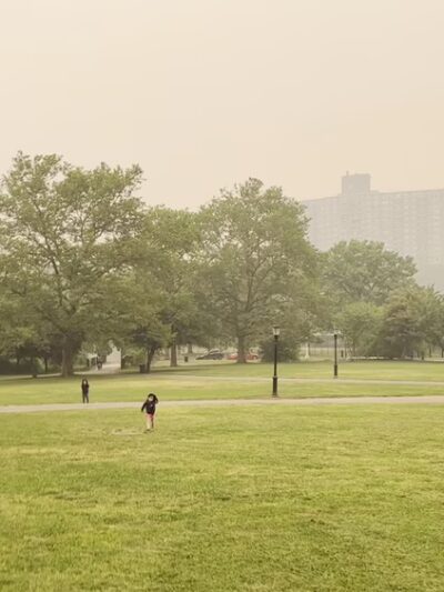 Inwood Hill Park - New York, NY