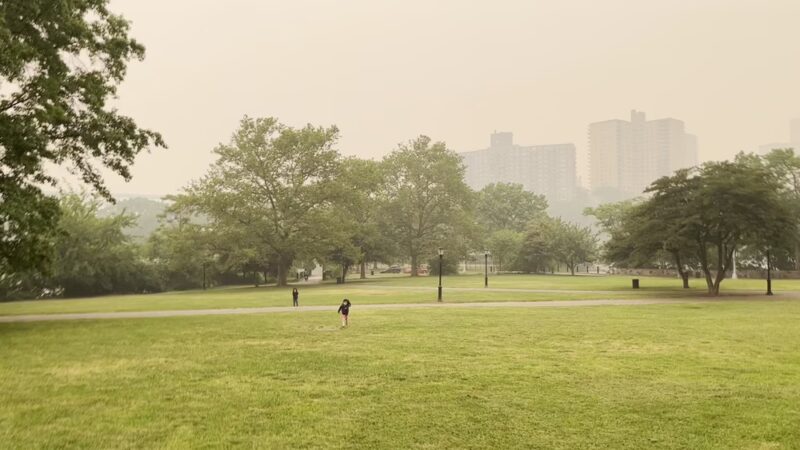 Inwood Hill Park - New York, NY