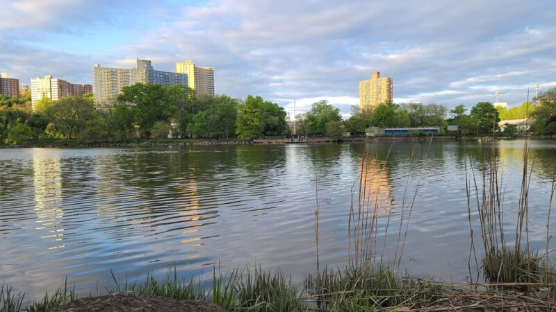 Inwood Hill Park - New York, NY