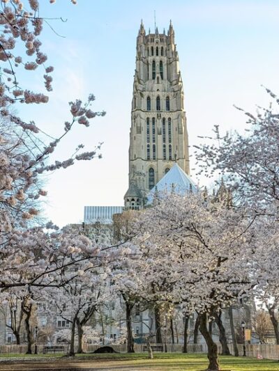 Sakura Park - New York, NY