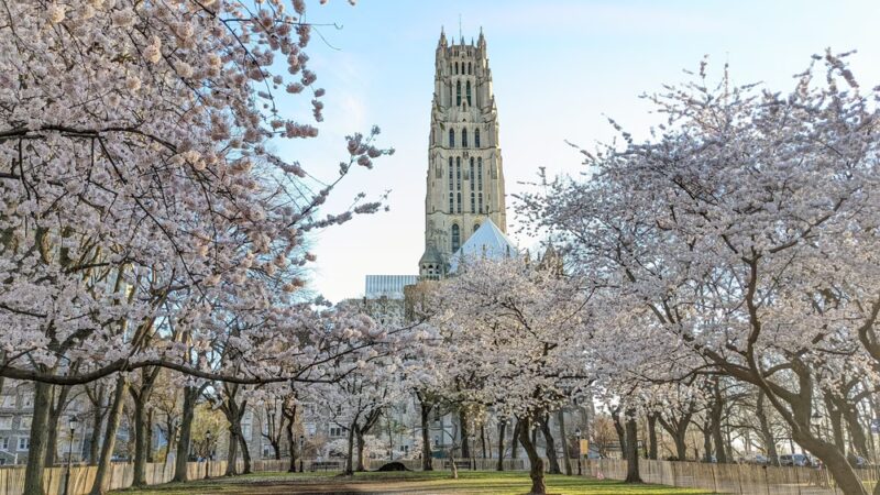 Sakura Park - New York, NY