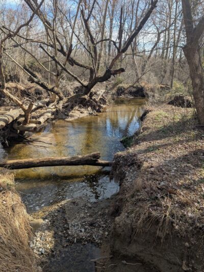 Christina Creek - Newark, DE