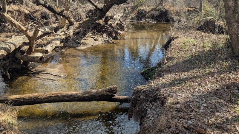 Christina Creek - Newark, DE