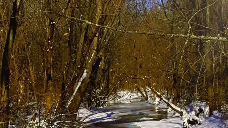 Christina Creek - Newark, DE