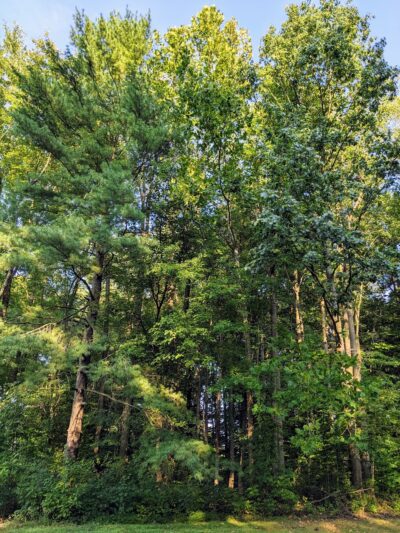 Devon Park - Newark, DE