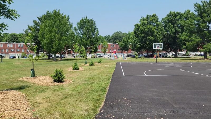 Dickey Park - Newark, DE