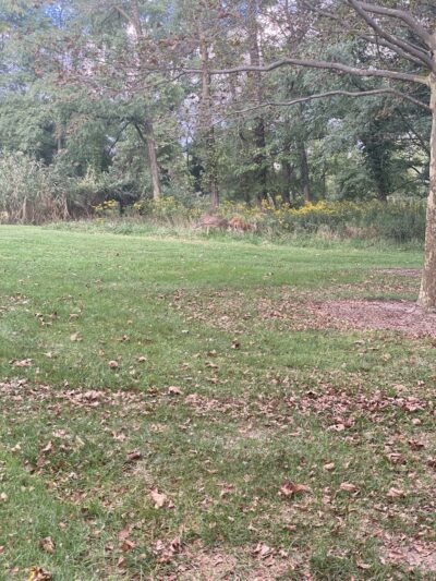 Folk Memorial Park - Newark, DE