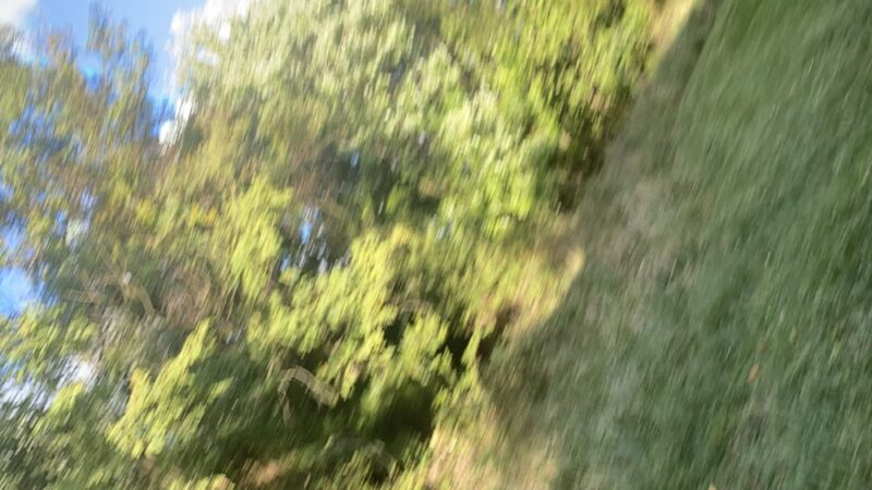 Folk Memorial Park - Newark, DE