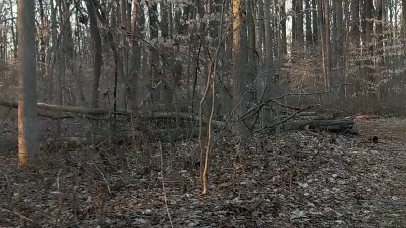 Iron Hill Park - Newark, DE