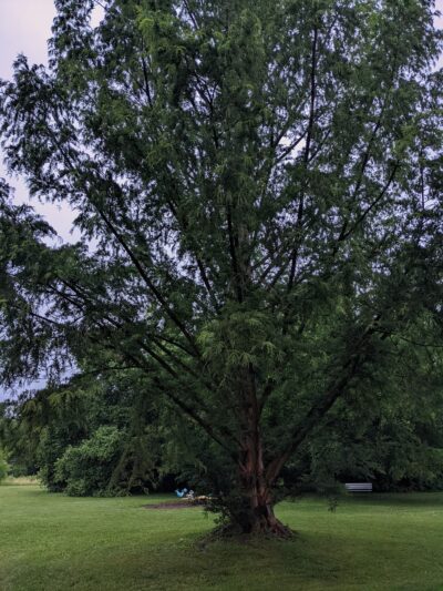 Kells Park - Newark, DE