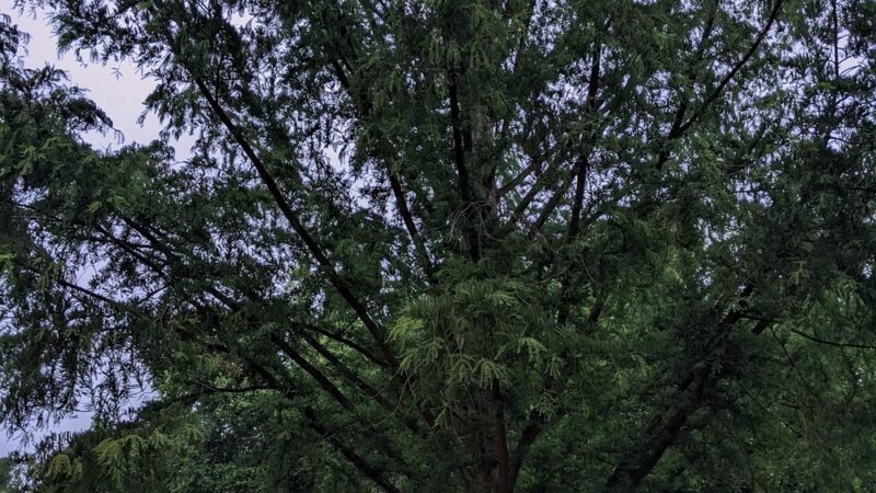 Kells Park - Newark, DE