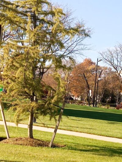 Lamar Mandersen College Square Memorial Park and Recreation Circle - Newark, DE