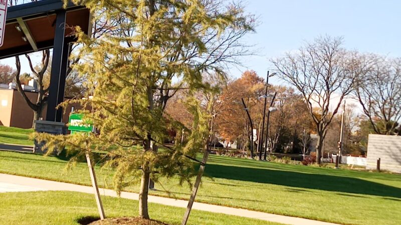 Lamar Mandersen College Square Memorial Park and Recreation Circle - Newark, DE