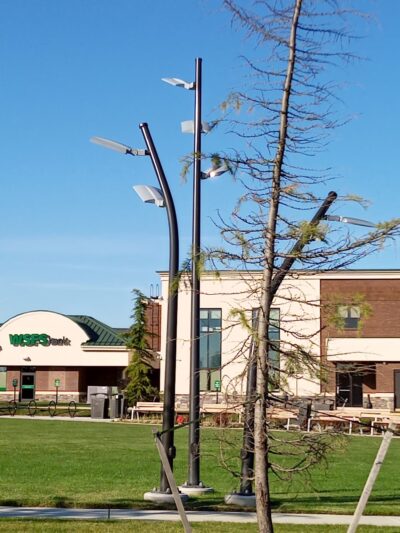 Lamar Mandersen College Square Memorial Park and Recreation Circle - Newark, DE