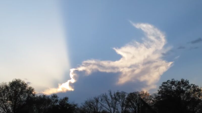 LeRoy, C. Hill, Jr. Park - Newark, DE