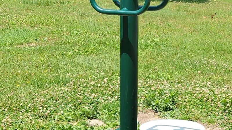 Lewis Park - Newark, DE