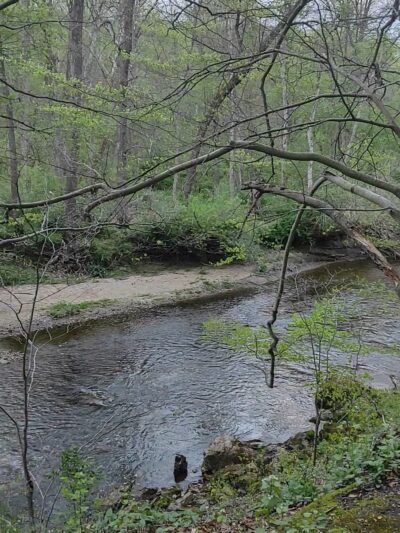 Mason Dixon Trail Crossing - Newark, DE