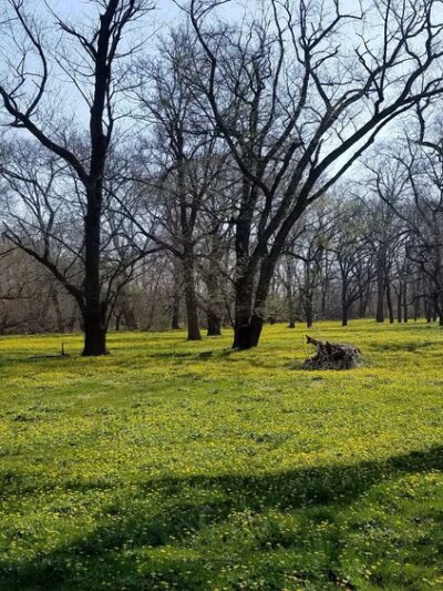 New Castle County Brookhaven Park - Newark, DE
