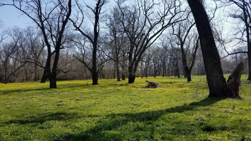New Castle County Brookhaven Park - Newark, DE