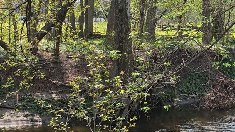 New Castle County Brookhaven Park - Newark, DE