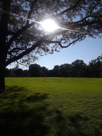 New Castle County Brookhaven Park - Newark, DE