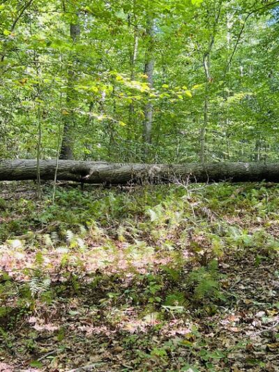 Newark Reservoir Parking - Newark, DE